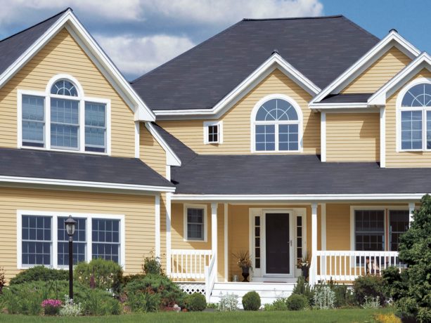 installing vinyl siding that creates an extreme contrast is one of the most brilliant ideas, too