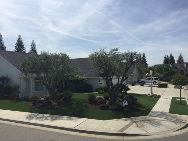 a landscaping idea involving the use of artificial grass and two big trees brings beauty and practicality to a corner lot