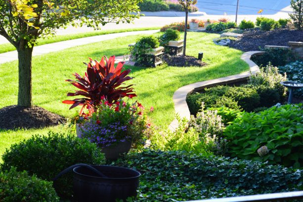 a landscaping idea that allows a corner lot to have lots of grass and a walkway with no fences
