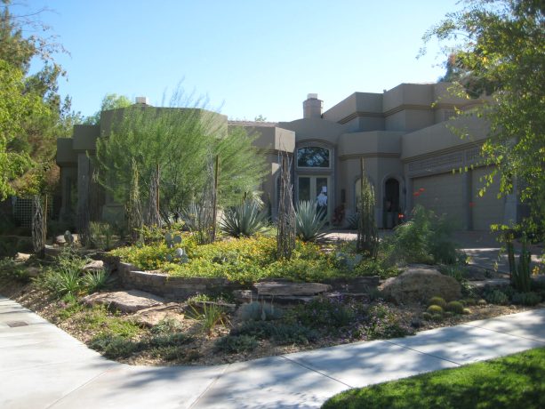 an idea that creates a landscaped corner lot with a desert museum palo verde tree and a proper garden is one that suits a large space