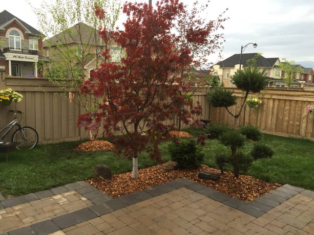 the landscaping idea a traditional corner lot needs is one involving trees grown on soil with leaf litter